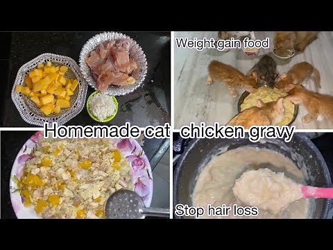homemade cat food ll chicken gravy ll cat food ll the cat life ll cat food homemade