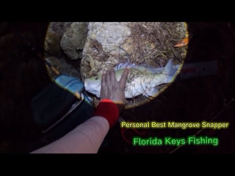 How I Caught My PB Mangrove Snapper Catch$Cook