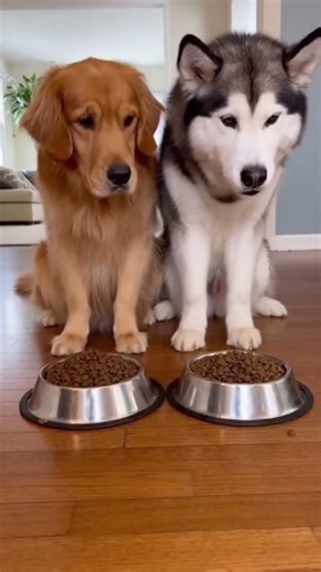 That Entrance Was Too Smooth