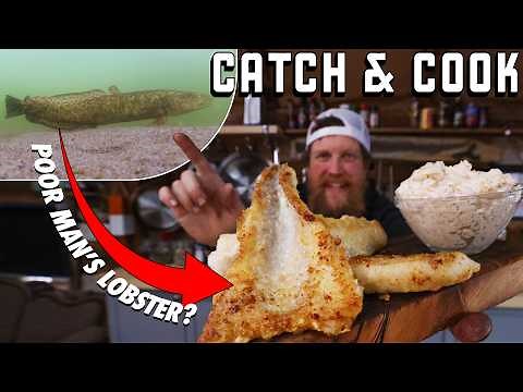 Poor Man's Lobster Catch & Cook AKA Cusk/Burbot Catch Clean & Cook