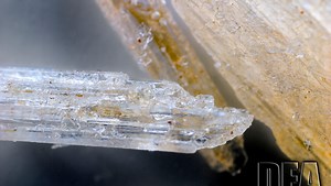 Mexican drug cartels saturate U.S. with deadliest meth ever