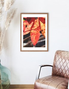 Autumn Leaves Mountain Photography - Etsy