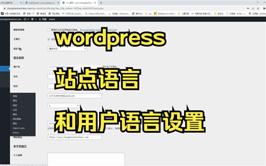【WordPress外贸独立站建站教程】wordpress站点语言和用户语言设置