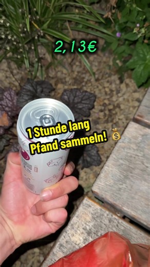 Gestern Nacht hat sich doppelt gelohnt!! 🤑 #pfand #sammeln #geldverdienen