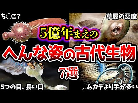 【ゆっくり解説】へんな姿の古代生物7選！5億年前の奇妙な生物…太古のバージェス動物群たちについて