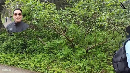 The Goldbelt Tram Juneau Alaska Walkthrough 1/4 The Goldbelt Tram is Juneau's aerial tramway, taking visitors 1,800 feet up Mount Roberts from the cruise ship docks for panoramic views of the city, Gastineau Channel, and surrounding mountains. At the top, the Mountain House offers a restaurant, gift shop with Native art, a theater showing a film about Tlingit culture, and access to hiking trails through the rainforest and alpine meadows. It's a popular, family-friendly attraction that provides a