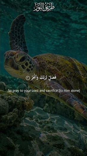 سورة الكوثر بصوت القارئ صلاح بوخاطر