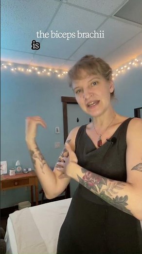Prime Movers, Synergists & Antagonists Explained (MBLEx Kinesiology Made Easy)