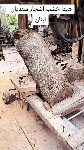 TikTok - Make Your Day