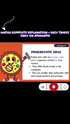 Cells Without Nucleus? 😱 | Prokaryotic Cell Explained