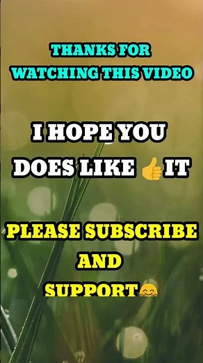 Class 11th Accounts Project || 25 Transactions From Journal To Ledger And With ADJUSTMENTS