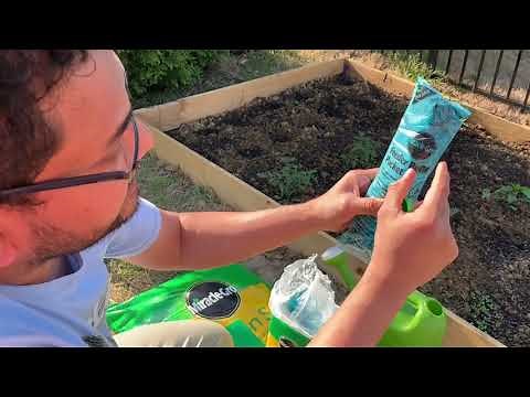 How to use Miracle Grow All Purpose Plant Food in the garden