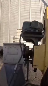 Where does corn go after drying? The full farm cycle explained! #farm #corn #crops