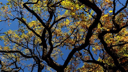 The first day of fall is coming. When is the autumnal equinox in 2024?