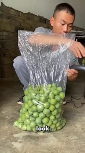 37K views · 101 reactions | The best method to keep fruit from rotting #fbreelsfypシ゚ #bestmethod #fruits #rotting | Viral Vibe | Facebook