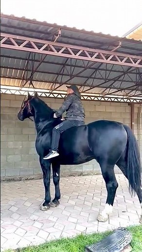 Learn to Ride a Horse the Right Way | Want to Ride a Horse? Start Here 🐎