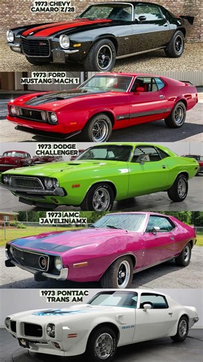 Camaro Z/28, Mustang Mach 1, Challenger, Javelin or Trans AM?