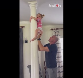 Over-the-moon toddler mounts the pole like a 'little monkey'