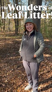 🍂🌿 Did you know that leaf litter is a vital part of our ecosystem? It may seem like just a pile of leaves, but Cathy Justis, our Director of Education, is excited to share why it’s so much more! Leaf litter provides habitat and food for countless organisms, from insects to small mammals. It plays a crucial role in the formation of healthy soil, helping to retain moisture and nutrients. Plus, it acts as a natural mulch, protecting plants and keeping our gardens thriving. So the next time you ra