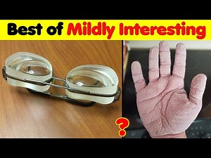 The Best Of Mildly Interesting Photos