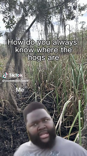 #hoghunt #hoghunter #hoghunterlife #hoghuntingwithdogs #hoghuntersoftiktok