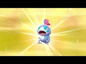 Finally hatched a shiny Sobble - Pokémon Sword