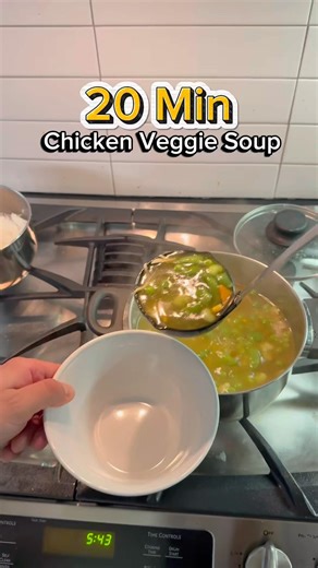20 minute Chicken Veggie Soup