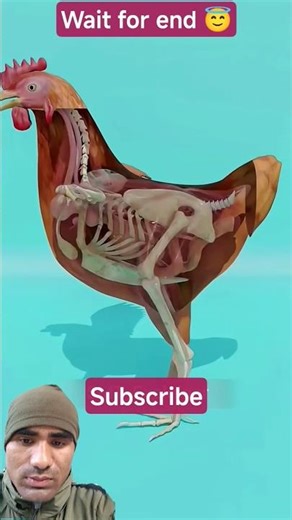 facts video🎥☺ #facts video