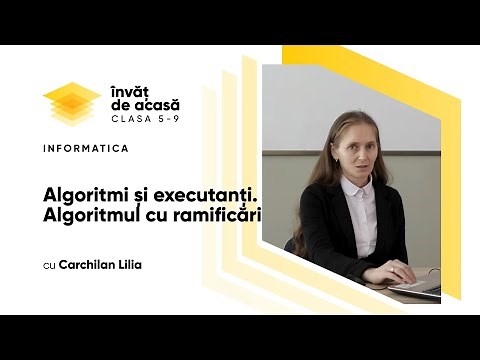 Informatica; cl. VIII, "Algoritmi și executanți. Algoritmul cu ramificări"