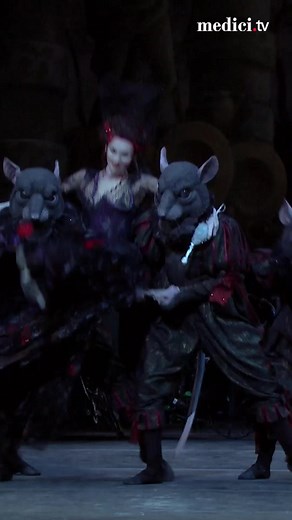 Rat Infestation at the Ballet Stage