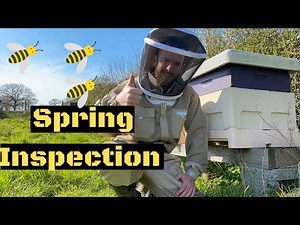 First Spring Inspection. Inspecting Bees in the hive
