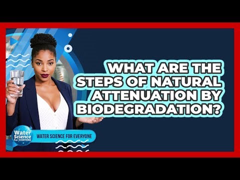 What Are the Steps of Natural Attenuation by Biodegradation?