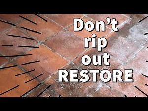 Historic 106 Year Old Terracotta Tile Floor Restored With Tile Replacement Ingrained Dirt Removal