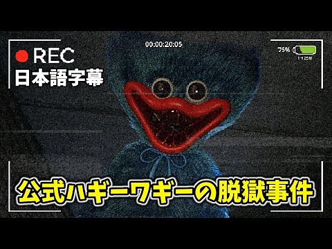 公式が出した実写ハギーワギー映像がやばすぎる・・・！【ポピープレイタイム 日本語字幕 Poppy Playtime】