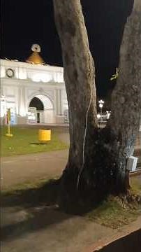 Naga City’s Porta Mariae & Cathedral Glowing for the Holidays