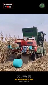 Witness the efficiency and precision of a combine harvesting and hay binding machine in action! These powerful machines revolutionize the agricultural industry by seamlessly cutting, threshing, separating grains, and baling hay all in one go. With advanced technology and design, farmers can optimize their fields with speed and accuracy. From saving time to increasing productivity, these machines are essential for modern farming practices. Embrace innovation and explore the amazing capabilities o