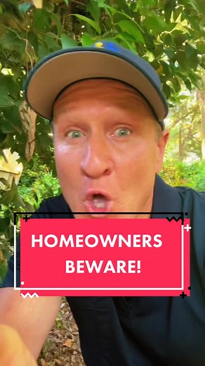 Stop Rats from Entering Your Attic: Essential Tips