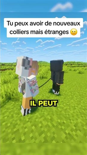 You can get new necklaces... but weird 😐 #minecraft #mods #shorts