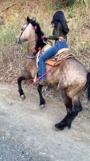 Cruel Horse Riding Practices Exposed