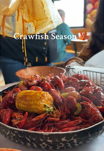 Understanding Crawfish Allergies After Louisiana Boils