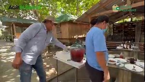 33K views · 1.5K reactions | HOW TO MAKE FRUIT WINE - FERMENTATION, RACKING TO BOTTLING | Agribusiness | Facebook