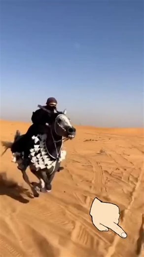 Understanding the Legacy of Prophet Muhammad