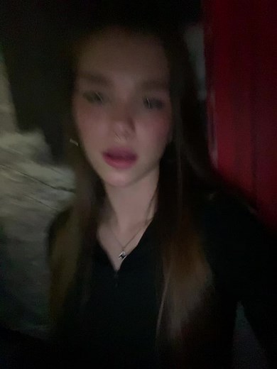 Caring for a Domestic Short-Haired Cat at Home