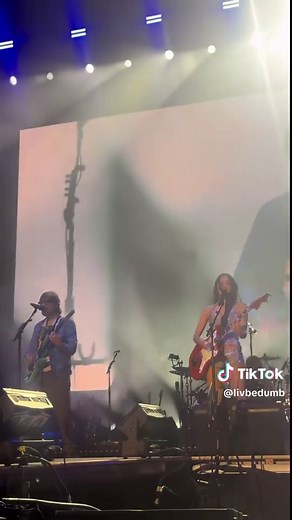 Olivia Rodrigo and Weezer Shine at Lollapalooza 2025