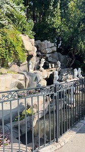 Love this Disneyland spot! So peaceful with the sound of Snow White singing. | Mickey Visit