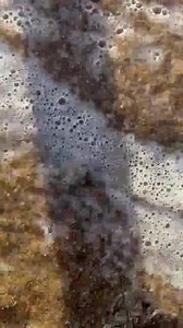 202K views · 3.3K reactions | Very nice and pretty rare ammonite gleviceras ammonite from Charmouth Though I had lost it in the wave for a second | Charmouth Fossils | Facebook