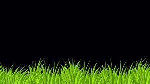Download Looped animation of grass. Animation with grass moving. 4K seamless loop video footage. Transparent background with alpha channel for free