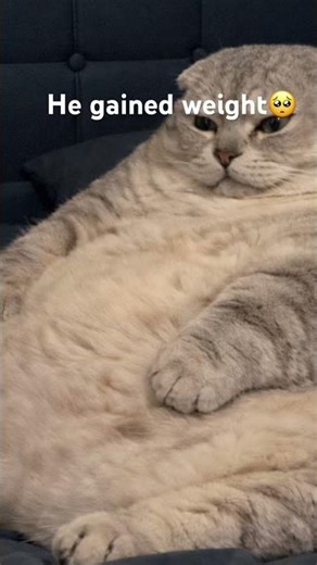 He had too much fancy feast🙏￼￼