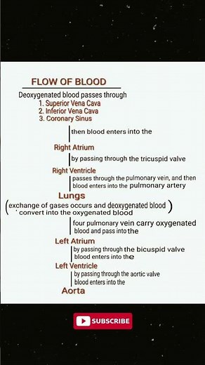 How Blood Circulates: Heart's Blood Flow Pathway Explained! | Double Circulation in Humans