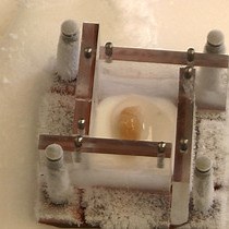 Assessment of Dendritic Arborization in the Dentate Gyrus of the Hippocampal Region in Mice - JoVE